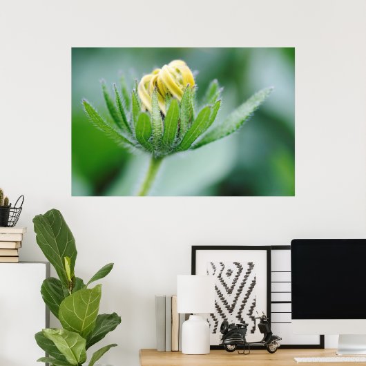 Poster Fleur D'Ouverture De La Fleur De Cône (Bureau à domicile)