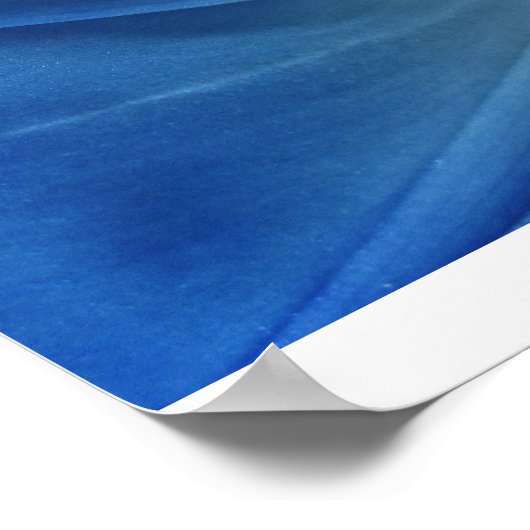 Poster Fleur du matin (Coin)