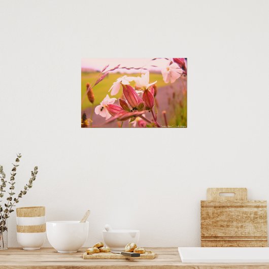 Poster fleur écossaise (Cuisine)