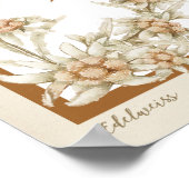 Poster Fleur Edelweiss Autriche (Coin)