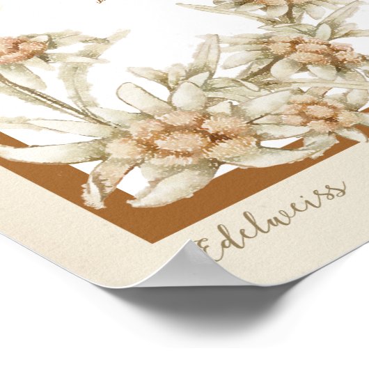 Poster Fleur Edelweiss Autriche (Coin)