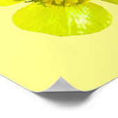 Poster Fleur en beaming Buttercup - transparent. (Coin)