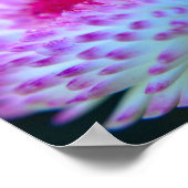 Poster Fleur en fleur (Coin)