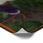 Poster Fleur épique 1 (Coin)