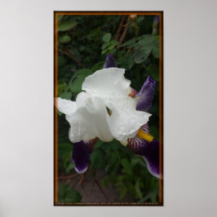 Poster Fleur épique 1