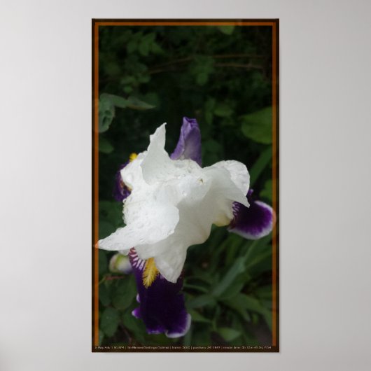 Poster Fleur épique 2 (Devant)