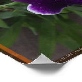 Poster Fleur épique 3 (Coin)