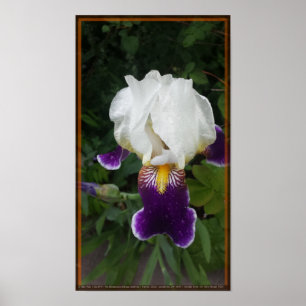 Poster Fleur épique 3