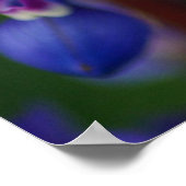 Poster Fleur et abeille (Coin)