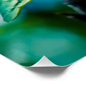 Poster Fleur et bourgeons de pommes de terre (Coin)