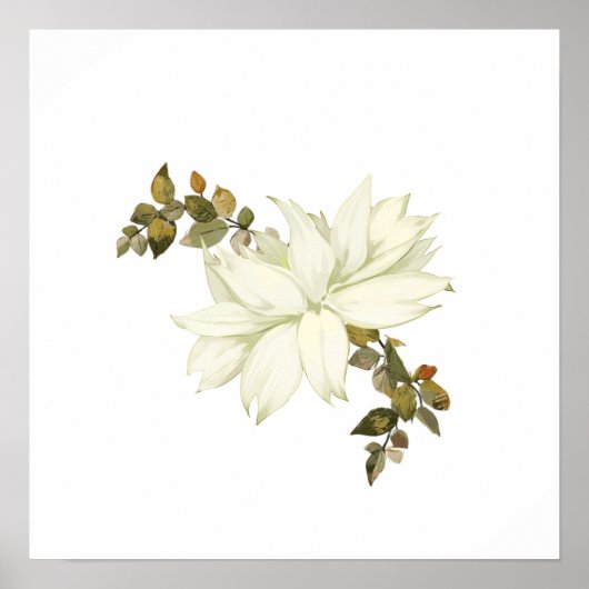 Poster Fleur et feuillage blancs simplistes (Devant)