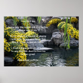 Poster Fleur Feu Et Glace (Devant)