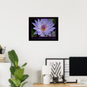 Poster Fleur fleurs Zen Proverbe Purple Eau Lily & Abeill (Bureau à domicile)