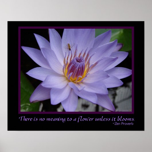 Poster Fleur fleurs Zen Proverbe Purple Eau Lily & Abeill (Devant)