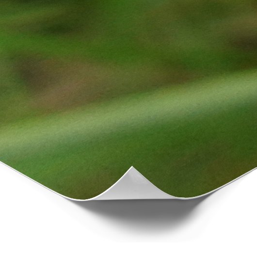 Poster Fleur florale Chicory bleu violet (Coin)