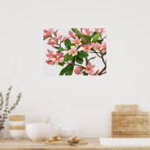 Poster Fleur Frangipani rose (Cuisine)