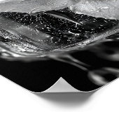 Poster Fleur gelée fondant la glace (Coin)