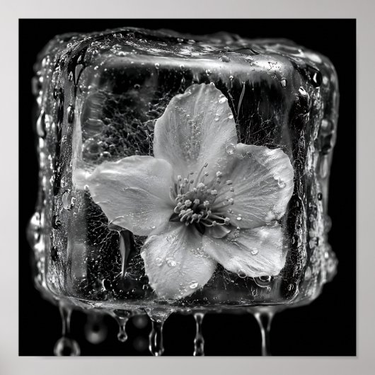 Poster Fleur gelée fondant la glace (Devant)