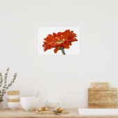 Poster Fleur Gerbera Orange Daisy (Cuisine)