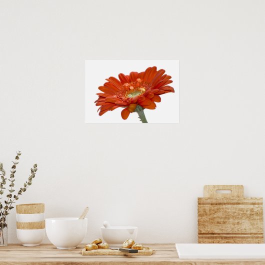 Poster Fleur Gerbera Orange Daisy (Cuisine)