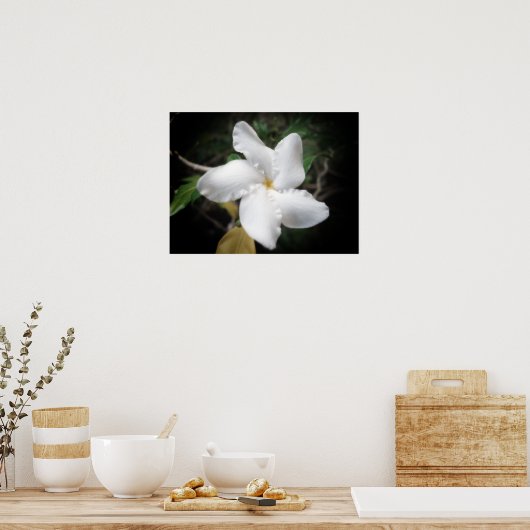 Poster Fleur hawaïenne 2 (Cuisine)