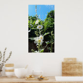 Poster Fleur Hollyhocks, Alcea Alba (Cuisine)