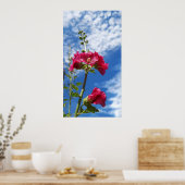 Poster Fleur Hollyhocks, Alcea Rosea (Cuisine)
