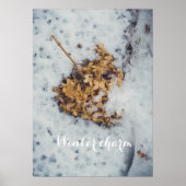 Poster Fleur Hortensia sur la neige (Devant)