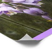 Poster Fleur Hosta (Coin)