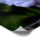 Poster Fleur humide (Coin)