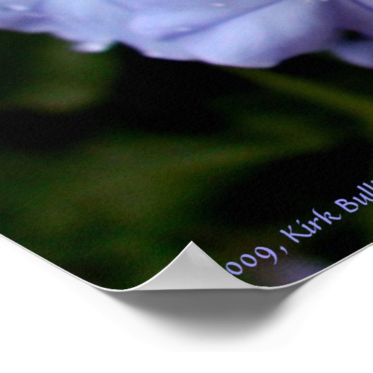 Poster Fleur humide (Coin)