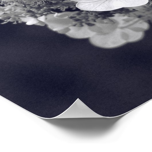 Poster Fleur Hydrangea Noir et Blanc Miroir Abstrait (Coin)