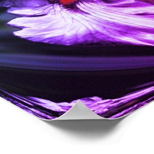 Poster Fleur Iris Abstraite (Coin)