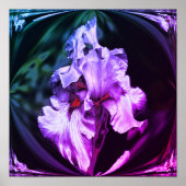 Poster Fleur Iris Abstraite (Devant)