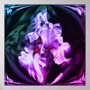 Poster Fleur Iris Abstraite