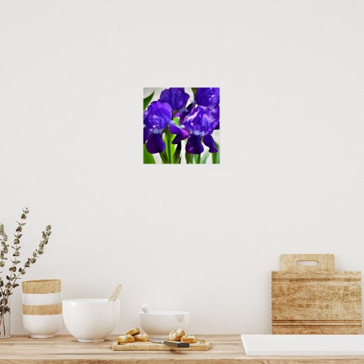 Poster Fleur Iris Iris Violet (Cuisine)