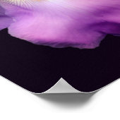 Poster Fleur Iris Lavande Rêve (Coin)