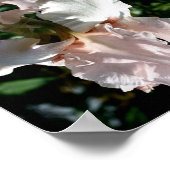 Poster Fleur Iris Lourd Vers Le Haut Près Abstrait (Coin)