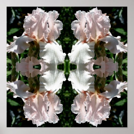 Poster Fleur Iris Lourd Vers Le Haut Près Abstrait (Devant)