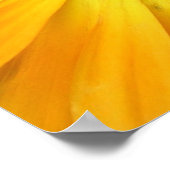 Poster fleur jaune (Coin)