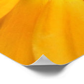 Poster fleur jaune (Coin)