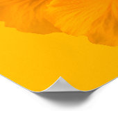 Poster Fleur jaune (Coin)