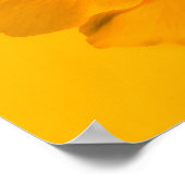Poster Fleur jaune (Coin)