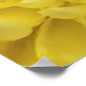 Poster Fleur jaune (Coin)