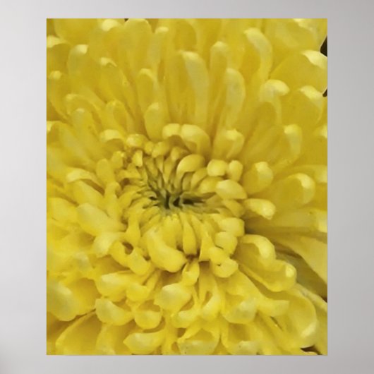 Poster Fleur jaune (Devant)