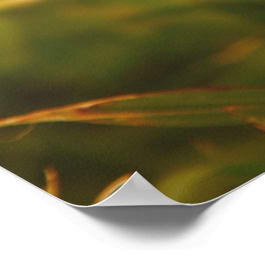 Poster Fleur jaune (Coin)