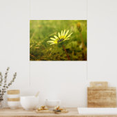 Poster Fleur jaune (Cuisine)