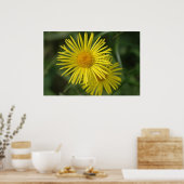 Poster Fleur jaune (Cuisine)