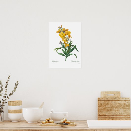 Poster Fleur jaune (Cuisine)