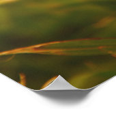 Poster Fleur jaune (Coin)